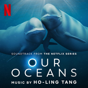 Our Oceans (Soundtrack from the Netflix Series)网赚项目-副业赚钱-互联网创业-资源整合HIRES SHOP