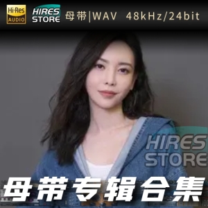 于文文（WAV母带专辑合集）网赚项目-副业赚钱-互联网创业-资源整合HIRES SHOP