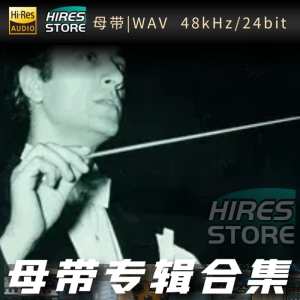 Sergiu Celibidache（WAV母带专辑合集）网赚项目-副业赚钱-互联网创业-资源整合HIRES SHOP