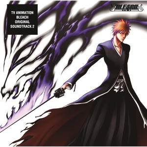 TV Animation BLEACH Original Soundtrack 2 (TV动画《死神》原声带2)网赚项目-副业赚钱-互联网创业-资源整合HIRES SHOP