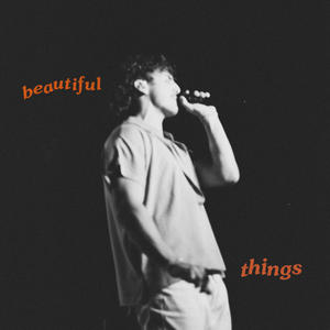 Beautiful Things网赚项目-副业赚钱-互联网创业-资源整合HIRES SHOP