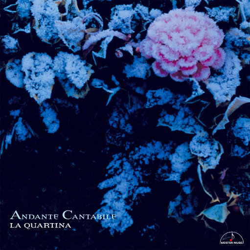 如歌的行板 – 四把大提琴重奏作品 (Andante Cantabile) (5.6MHz DSD)网赚项目-副业赚钱-互联网创业-资源整合HIRES SHOP