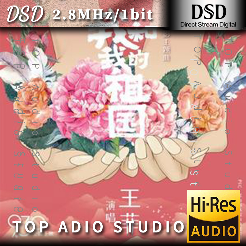 【王菲】我和我的祖国网赚项目-副业赚钱-互联网创业-资源整合HIRES SHOP