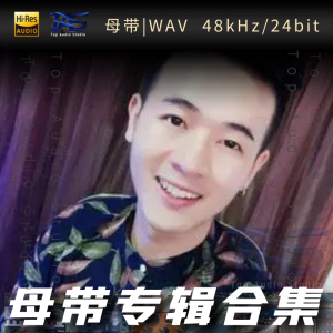 小阿枫（WAV母带专辑合集）网赚项目-副业赚钱-互联网创业-资源整合HIRES SHOP