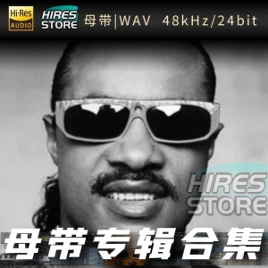 stevie wonder（WAV母带专辑合集）网赚项目-副业赚钱-互联网创业-资源整合HIRES SHOP