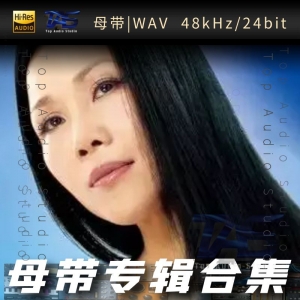 田震（WAV母带专辑合集）网赚项目-副业赚钱-互联网创业-资源整合HIRES SHOP