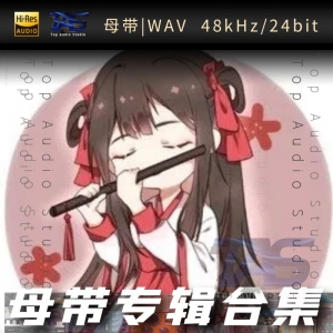 司南（WAV母带专辑合集）网赚项目-副业赚钱-互联网创业-资源整合HIRES SHOP