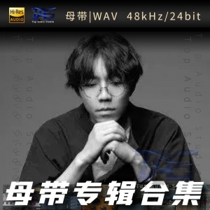 陈鸿宇（WAV母带专辑合集）网赚项目-副业赚钱-互联网创业-资源整合HIRES SHOP