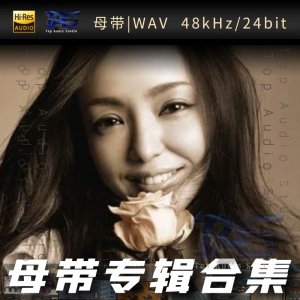 安室奈美恵 (あむろ なみえ)（WAV母带专辑合集）网赚项目-副业赚钱-互联网创业-资源整合HIRES SHOP