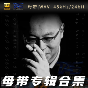 窦唯（WAV母带专辑合集）网赚项目-副业赚钱-互联网创业-资源整合HIRES SHOP