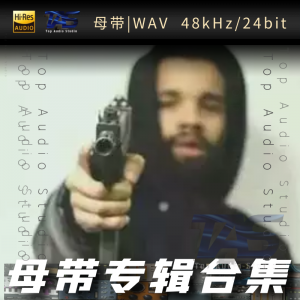 顽童（WAV母带专辑合集）网赚项目-副业赚钱-互联网创业-资源整合HIRES SHOP