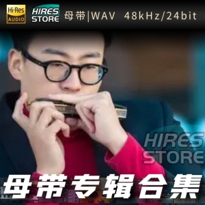 陶丁甲（WAV母带专辑合集）网赚项目-副业赚钱-互联网创业-资源整合HIRES SHOP