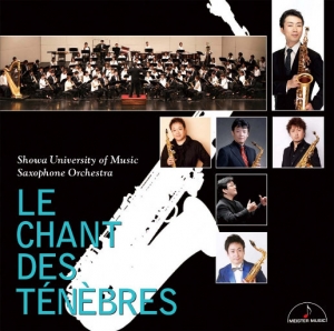 黑暗之歌 (Le Chant des Ténèbres)网赚项目-副业赚钱-互联网创业-资源整合HIRES SHOP