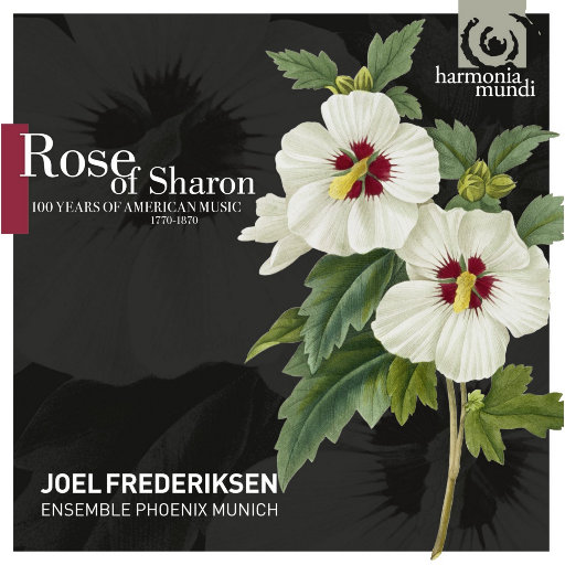 木槿花 (Rose of Sharon)网赚项目-副业赚钱-互联网创业-资源整合HIRES SHOP