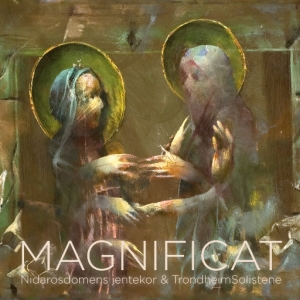 MAGNIFICAT网赚项目-副业赚钱-互联网创业-资源整合HIRES SHOP