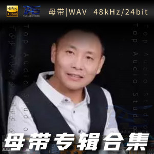 祁隆（WAV母带专辑合集）网赚项目-副业赚钱-互联网创业-资源整合HIRES SHOP