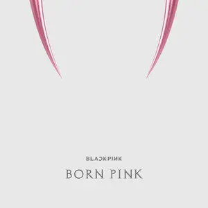 BORN PINK网赚项目-副业赚钱-互联网创业-资源整合HIRES SHOP