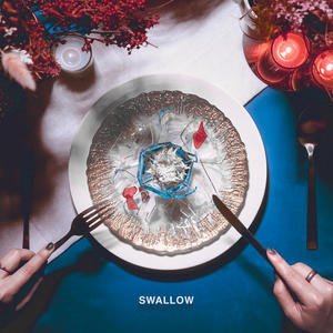 SWALLOW网赚项目-副业赚钱-互联网创业-资源整合HIRES SHOP